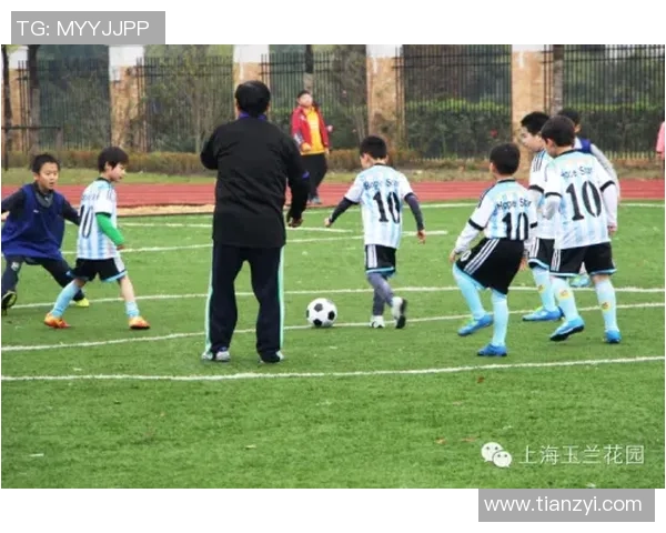 环鹰足球：探索足球文化与青少年成长的完美结合之路