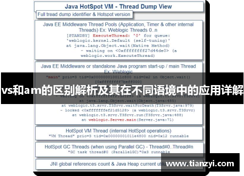 vs和am的区别解析及其在不同语境中的应用详解